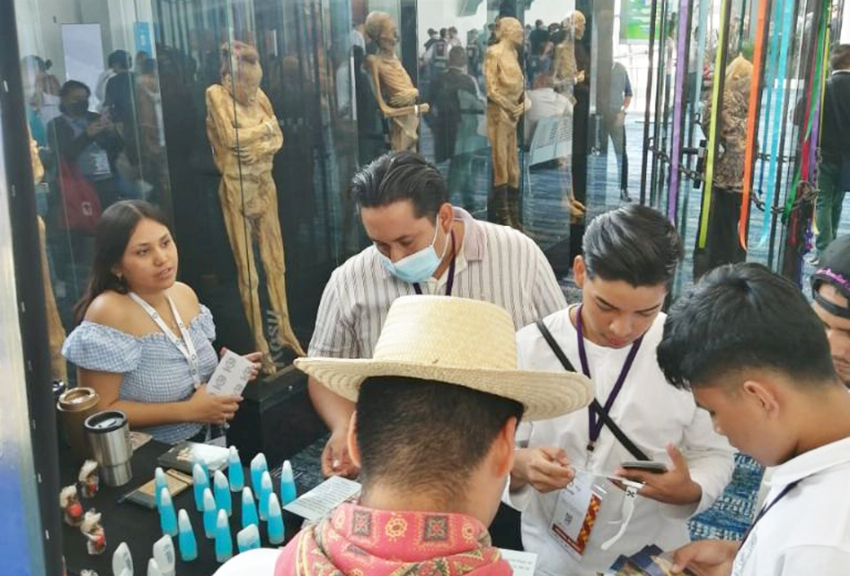 Momias de Guanajuato, riesgo para la salud pública