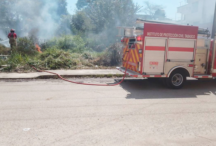 Incendios azotan a Tabasco. Pantanos de Centla, la zona más afectada: Conafor