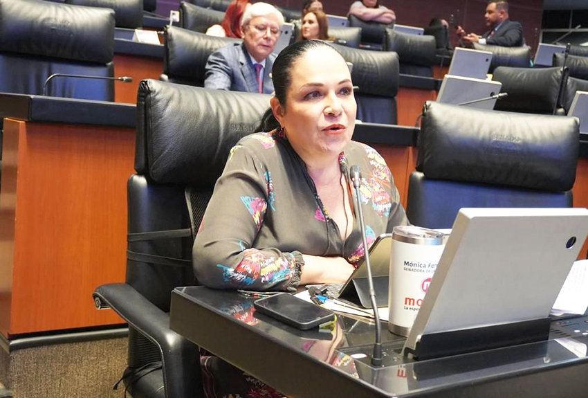 Pellicer en el muro del Senado, presenta Mónica Fernández punto de acuerdo