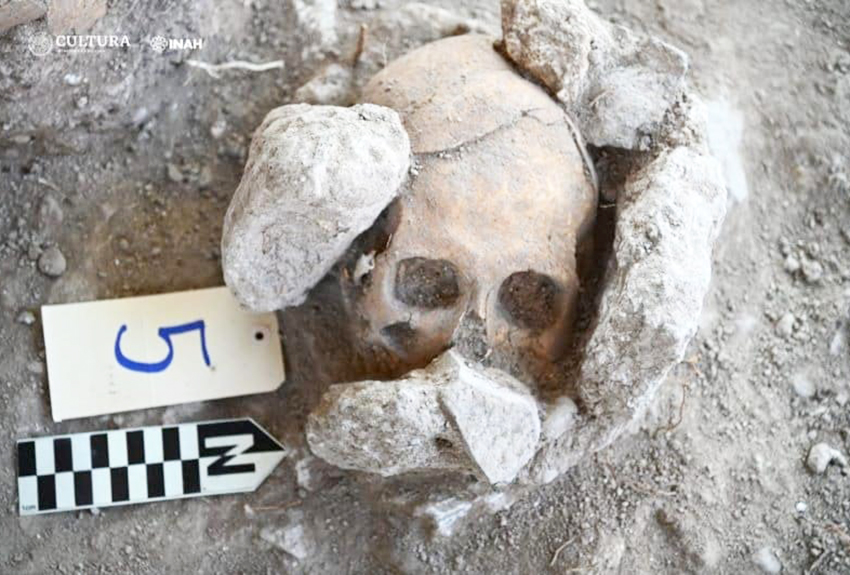 Ofrenda maya al descubierto. Algunos cráneos con señales de decapitación