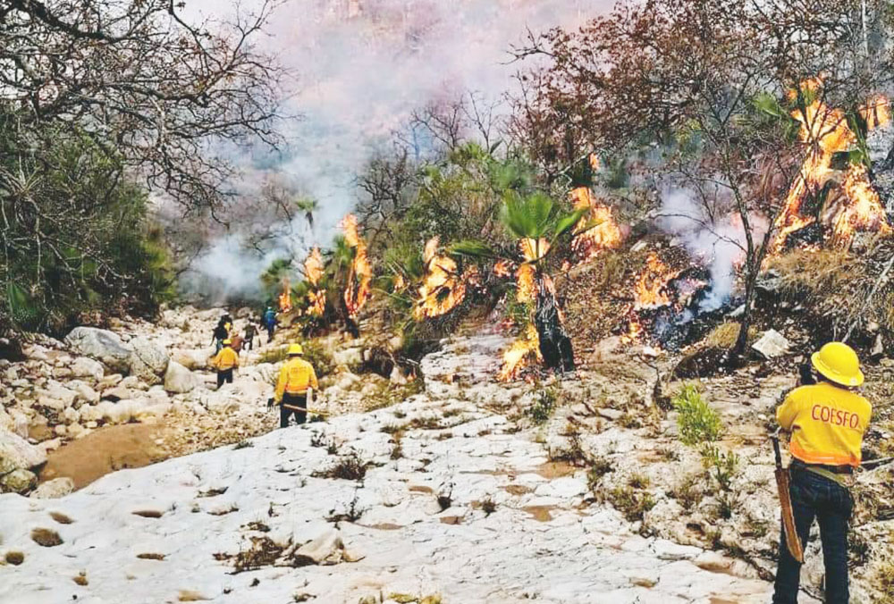 Cumple 10 días incendio forestal en Santa Catarina, NL