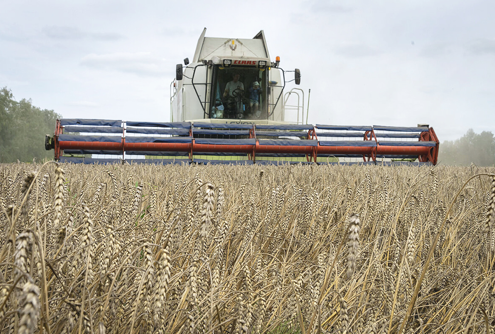 Rusia concluye acuerdo para exportación de granos