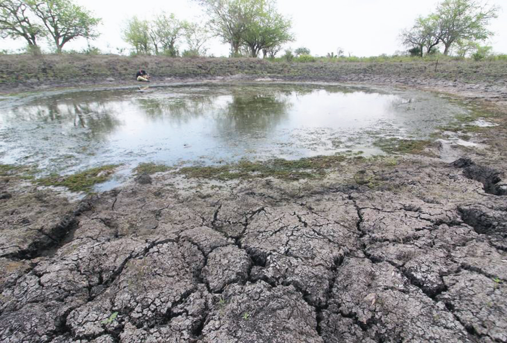 Se secan presas en Veracruz ante prolongado estiaje