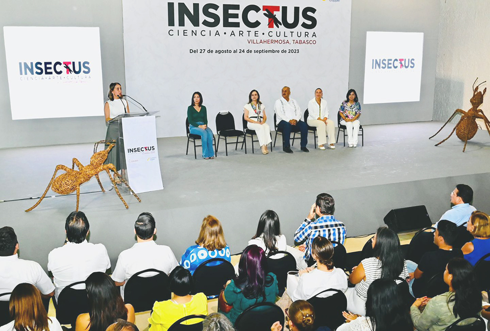 Carlos Merino, inauguró la exposición “Insectus Tabasco”