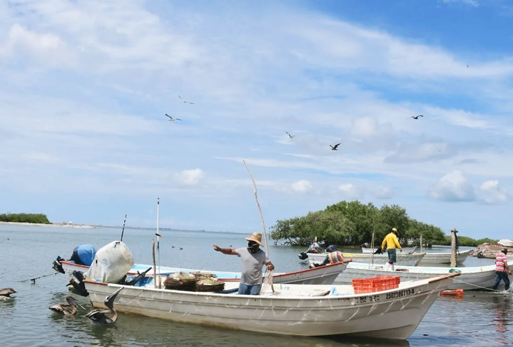 Tiempo crítico para pescadores, prevén recuperación en septiembre