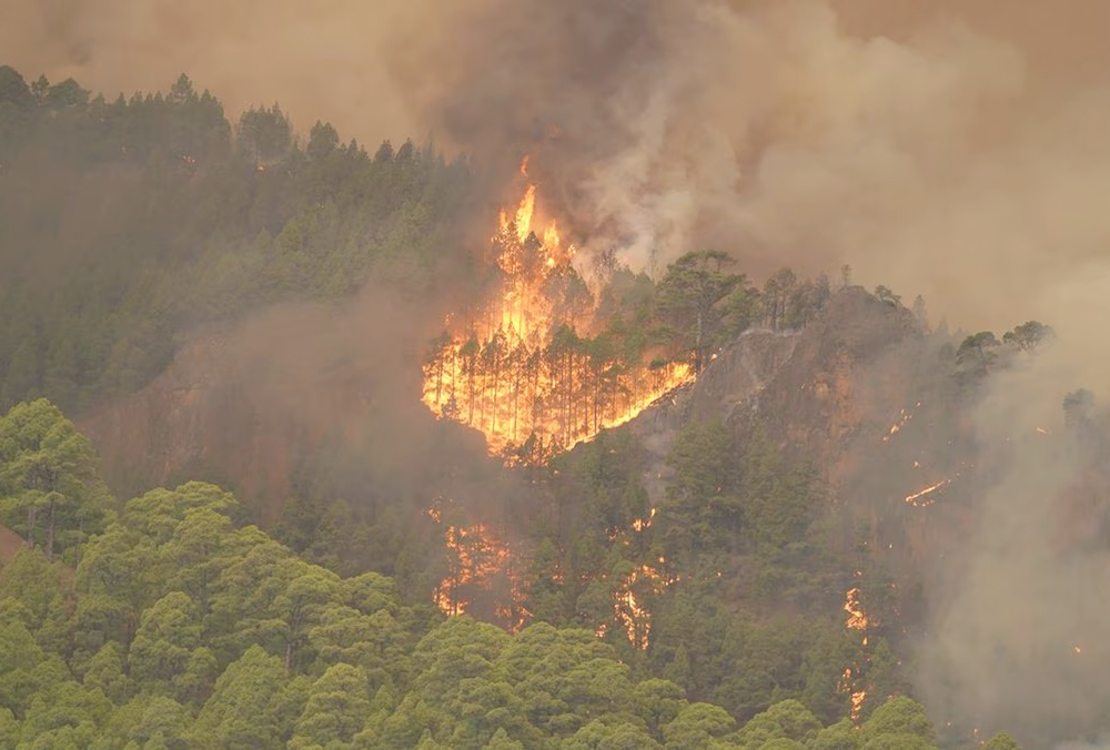 Incendio en isla Tenerife consume 300 hectáreas y obliga a evacuar