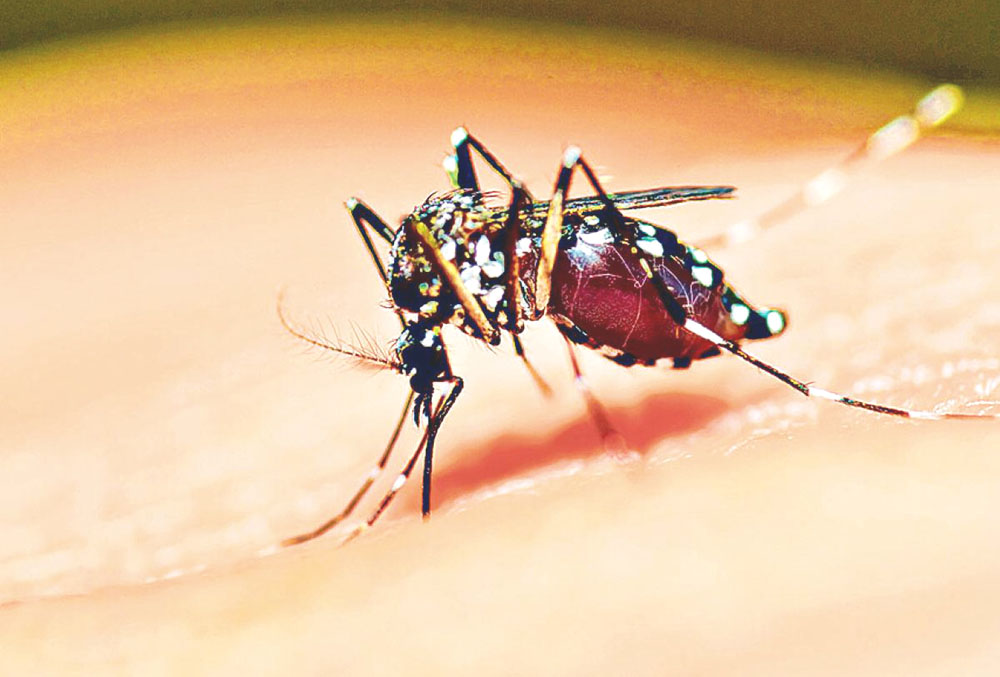 Incrementan casos de dengue con tres defunciones