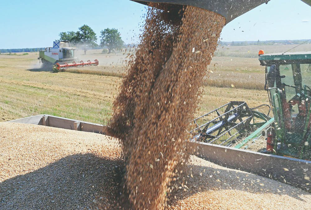 Rusia y Turquía acuerdan suministro de granos