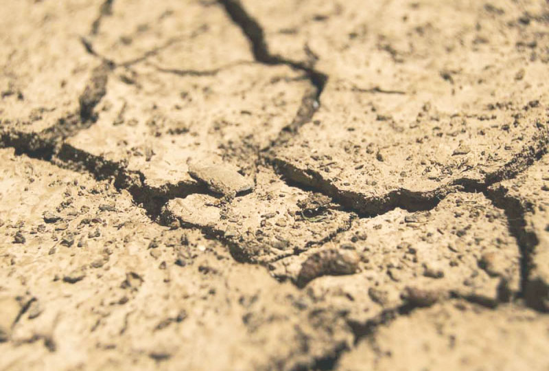 Sequía colapsa al campo mexicano; Chihuahua, el estado más afectado