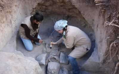 Tumbas prehispánicas se hallaron hace 3 mil años en Chapultepec
