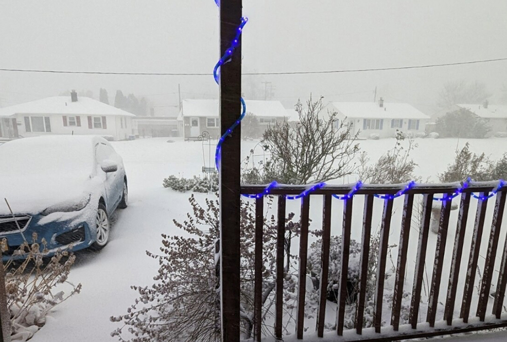 ¡Se pinta de blanco! Nueva York registra primera nevada