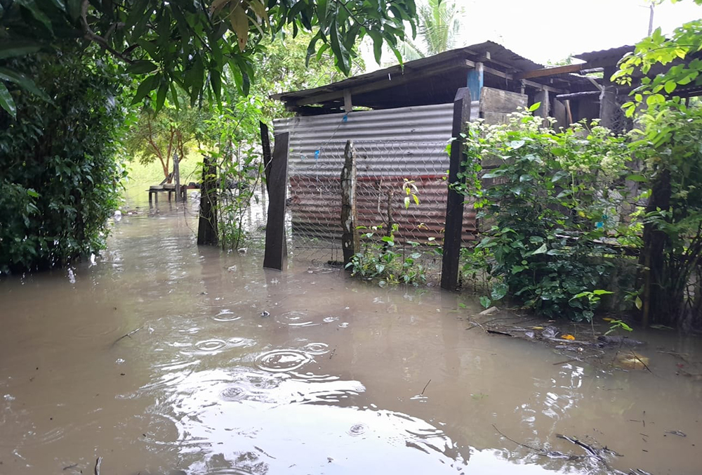 Inundaciones impactan Pichucalco. Casas y escuelas afectadas