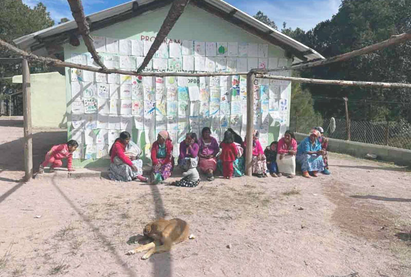 Persiste desplazamiento forzado y violencia en Sierra Tarahumara