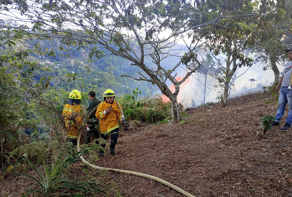 Feroz incendio en Argentina arrasa más de 2 mil hectáreas