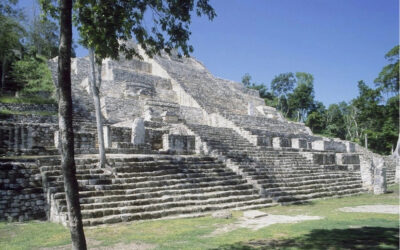 Identifican bienes inmuebles mayas, especialmente en el tramo 7 del Tren Maya