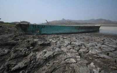 Más de la mitad del estado de Veracruz enfrenta sequía