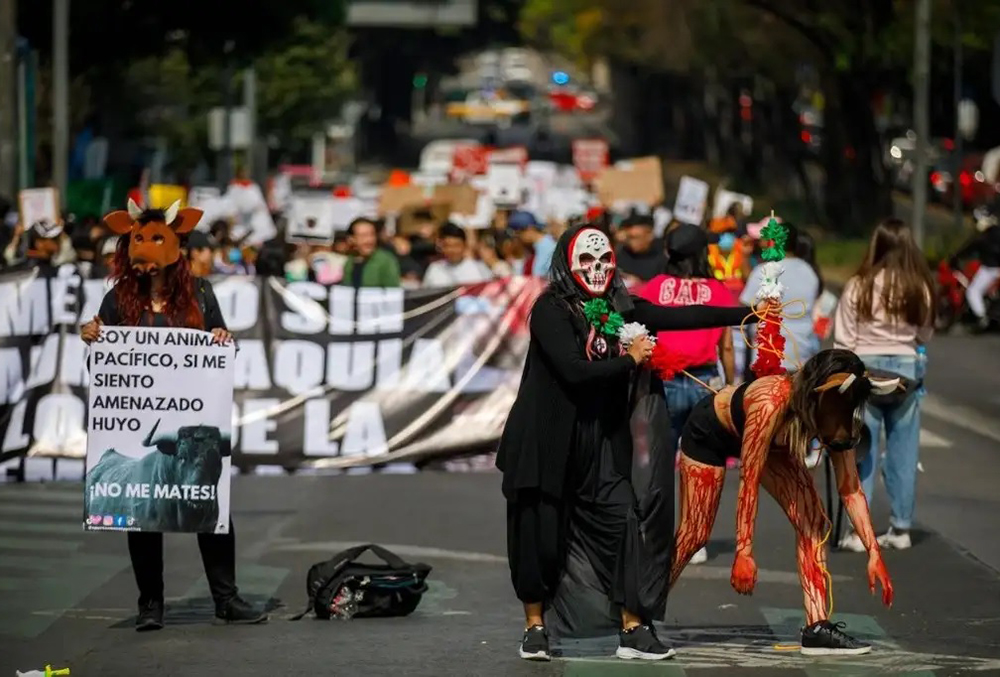 Marchan más de 300 activistas contra corridas de toros