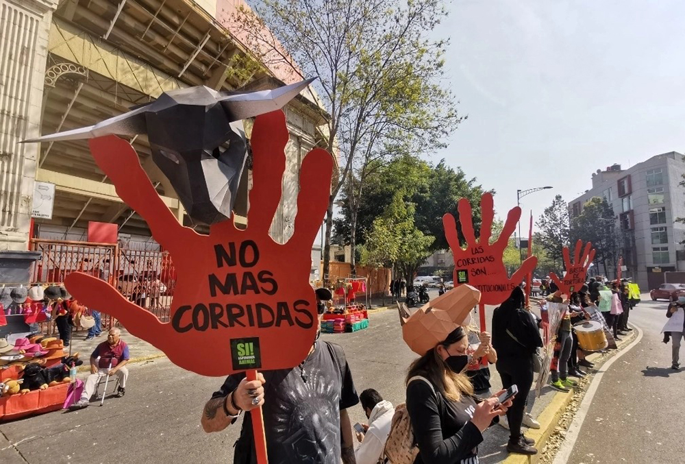 Suprema Corte de Justicia de la Nación autoriza reanudar corridas de toro