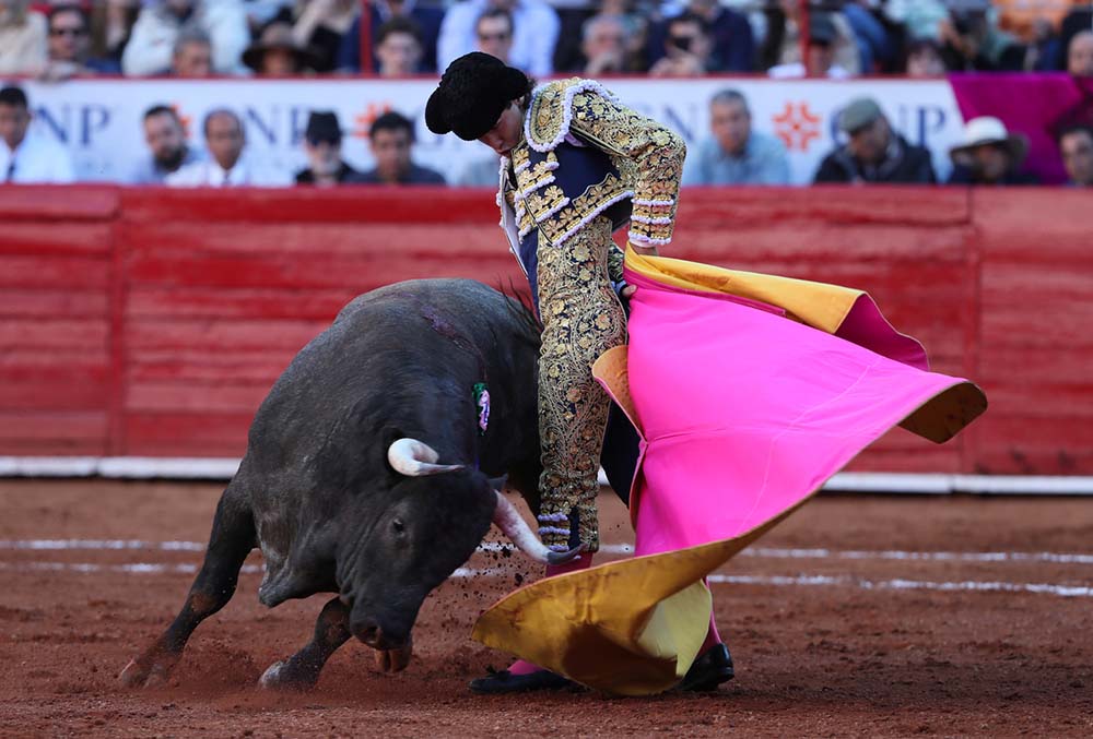 Aplazan fallo sobre corridas de toros en Plaza México